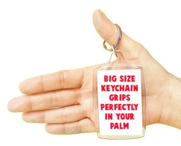 'The Idiot Test' Keychain